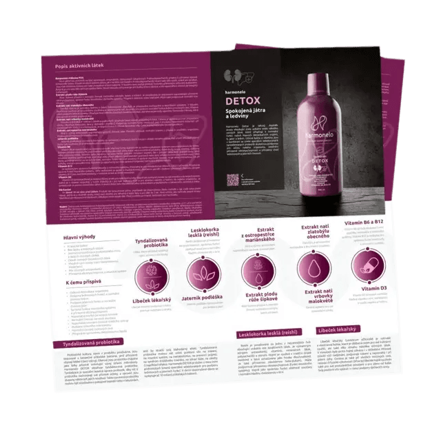 LEAFLET_10_DETOX_SK
